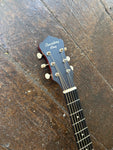 Recording King Series 11 with Fishman (000-size)