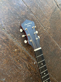 Recording King Series 11 with Fishman (000-size)