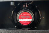 Allessandro Speaker in 1975 Fender Princeton Reverb