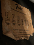 Tube diagram inside 1975 Fender Princeton Reverb