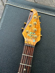 2001 Brian Moore Custom C-90P (13 Pin System)