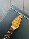 2001 Brian Moore Custom C-90P (13 Pin System)