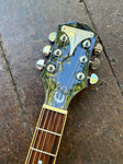 Epiphone Wildkat