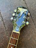 Epiphone Wildkat