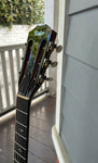 2017 Taylor 710e Western Sunburst