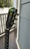 2017 Taylor 710e Western Sunburst