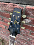 Aria Pro II PE-350STD Aged Black