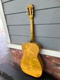 1993 Dobro Hula Blues