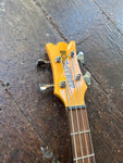 Aria PRO II DMB 206