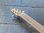 Go Guitar Travel Guitar