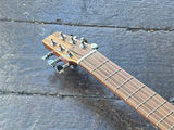 Go Guitar Travel Guitar