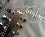 2018 Taylor GS Mini