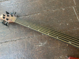 Ibanez SRH500F (5-String Fretless ) Bass