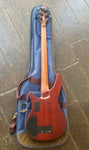 Ibanez SRH500F (5-String Fretless ) Bass