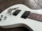Body and Bridge Closeup for Asher Lap Steel