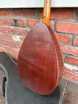 Weymann Mandolute Model 20 Mandolin