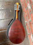 Weymann Mandolute Model 20 Mandolin