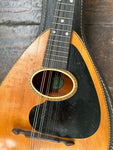 Weymann Mandolute Model 20 Mandolin