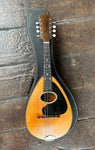 Weymann Mandolute Model 20 Mandolin