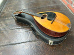 Weymann Mandolute Model 20 Mandolin