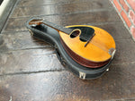 Weymann Mandolute Model 20 Mandolin