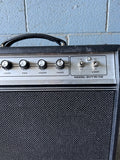 Ampeg Model GVT15-112 Amplifier