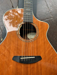 Breedlove Legacy Concert