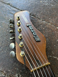 Danelectro Coral Firefly
