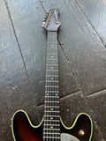Danelectro Coral Firefly