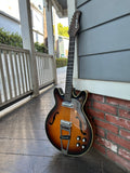 Danelectro Coral Firefly