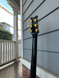 1978 Ibanez 2618 Artist