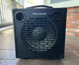 Henriksen The Bud TEN ,  10" Combo Amplifier