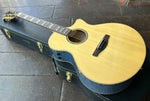 Ibanez AE390-NTA