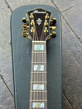 Ibanez AE390-NTA