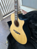 Ibanez AE390-NTA