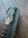 1965 Epiphone Olympic