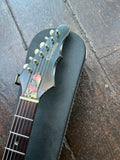 1965 Epiphone Olympic
