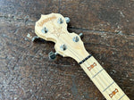 Deering Goodtime 19-fret Tenor Banjo with Resonator