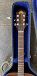 1978 Guild D-25