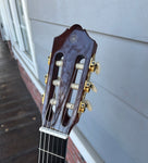 Close Up: Yamaha headstock, rosewoood, gold open gear tuners, plastic tuning knobs, fret nut 