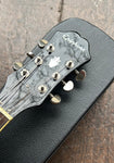 2010 Epiphone ES-175