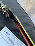 Guild S-200 T-Bird