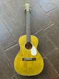 Aria 131UP Urban Player Series Parlor - Stained Green