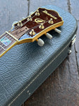Ibanez AF105F