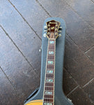 Ibanez AF105F