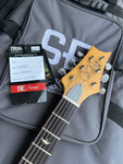 2003 PRS SE Silver Sky Dragon Fruit