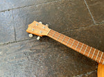 Martin T1K