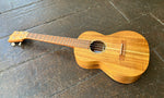 Martin T1K