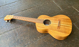 Martin T1K