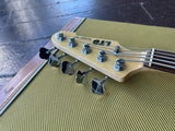 ESP LTD Surveyor 415 (5-String Bass)